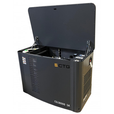 Газовый генератор CTG CG18000SA