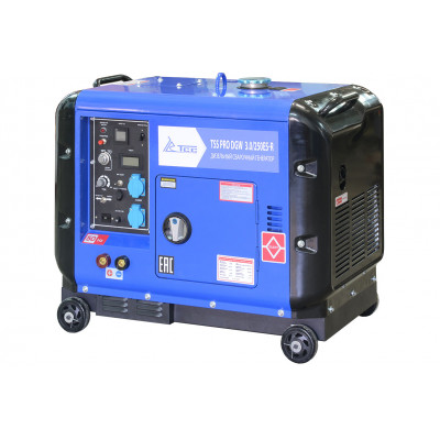 Генератор TSS PRO DGW 3.0/250ES-R