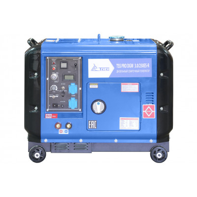 Генератор TSS PRO DGW 3.0/250ES-R